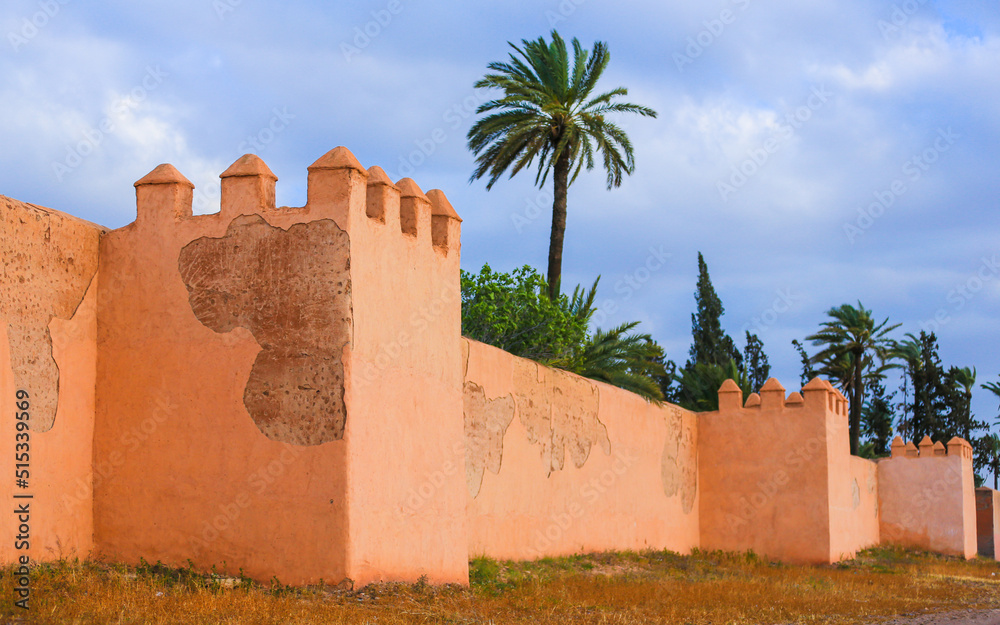 The old city wall of Marrakech and a green palm tree