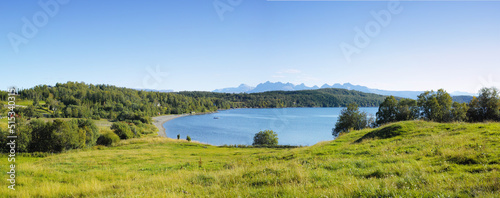 Landscape of a lake with trees near a field. Green hills by the seaside with a blue sky in Norway. A calm lagoon near a vibrant wilderness against a bright cloudy horizon. Peaceful wild nature scene