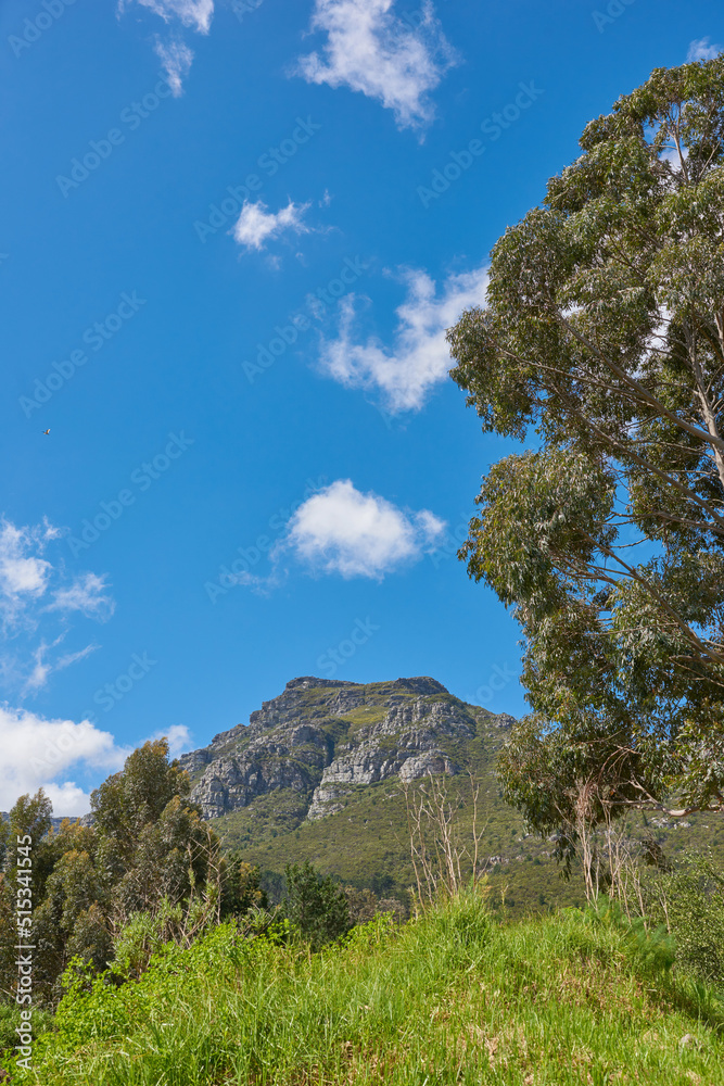 Scenic landscape of Twelve Apostles mountain under clear blue sky copy space in Cape Town. Famous steep hiking, and trekking terrain with growing trees, shrubs, and bushes. Travel and tourism. Scenic landscape of Twelve Apostles mountain under clear blue sky copy space in Cape Town. Famous steep hiking, and trekking terrain with growing trees, shrubs, and bushes. Travel and tourism.
