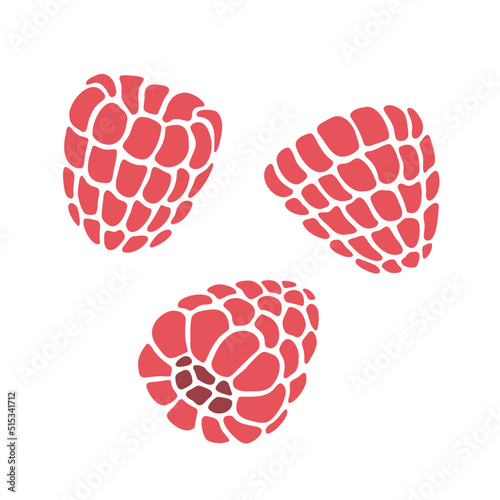 Raspberry illustration on white background