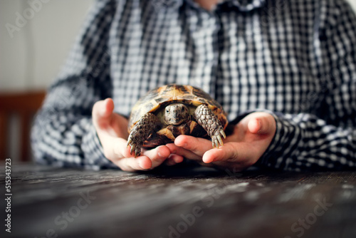 Kid teenager with turtle in his hands, concept pets, pets