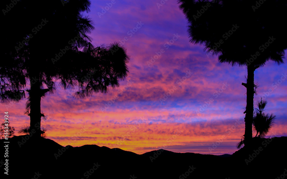 Mountains landscape with a crescent moon, purple sky and a cedar tree