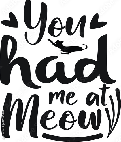 Bild auf Leinwand you had me at meow