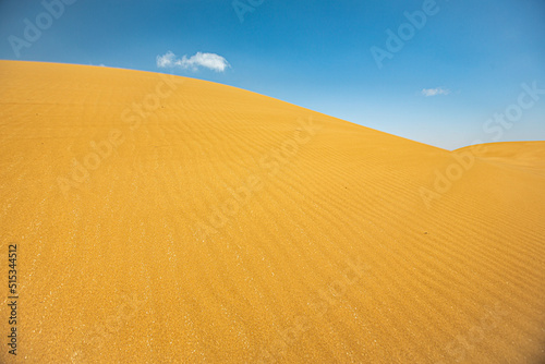 The sand dunes of the Moroccan sahara desert