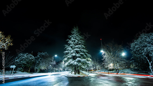 Cedar full of snow and moving lights in Ifrane
