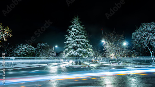 Cedar full of snow and moving lights in Ifrane