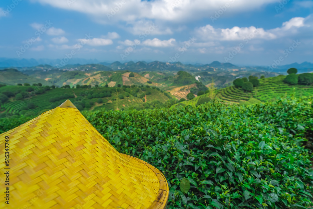 Beautiful closeup of an Asian conical hat against a foliage forest and mountains