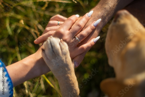 Close up of a Dog's Paw resting on top of a Couple's Hands on the field