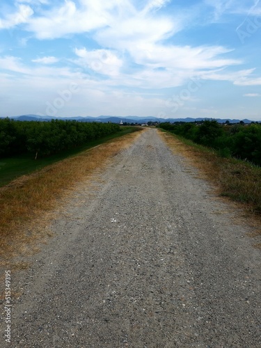 evocative image of a countryside landscape in Italy