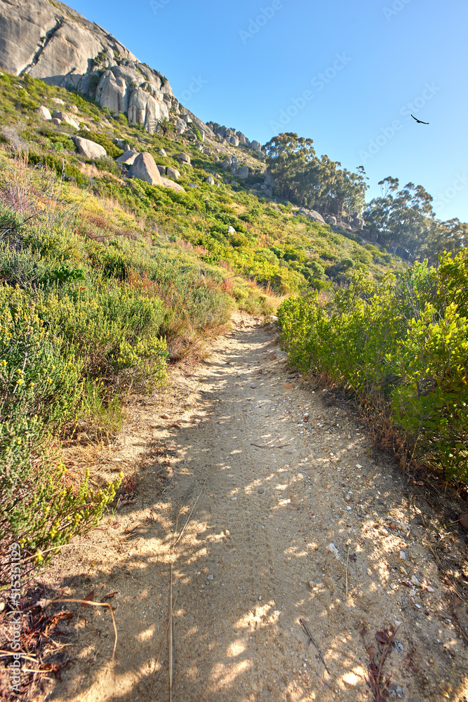 Hiking trail on Table Mountain National Park in Cape Town South Africa on a sunny day with blue sky. Scenic landscape with walking paths to explore in nature surrounded by green bushes and trees Hiking trail on Table Mountain National Park in Cape Town South Africa on a sunny day with blue sky. Scenic landscape with walking paths to explore in nature surrounded by green bushes and trees