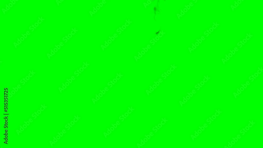 Bomb Explosion on Green screen with black and white alpha channel. Bomb Explosion on Green screen with black and white alpha channel.