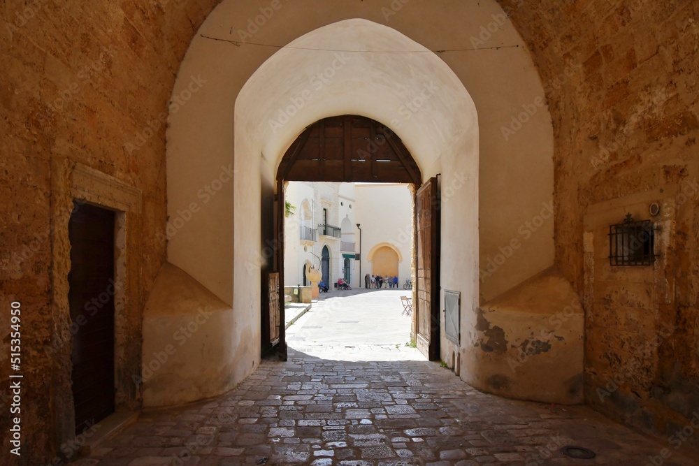 An alley in Specchia, a medieval village in the Puglia region of Italy.