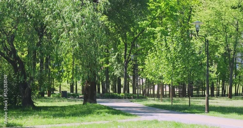 Green city park in summer sunny morning. Static 4k footage. Park with walking paths, green fresh lawn grass, trees wind swaying. Nature in city center. Nobody. Europe natural landscape background