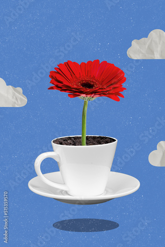 Fototapeta Naklejka Na Ścianę i Meble -  Collage template of florist advertisement growing red daisy in modern coffee mug design pot isolated sky cloud background
