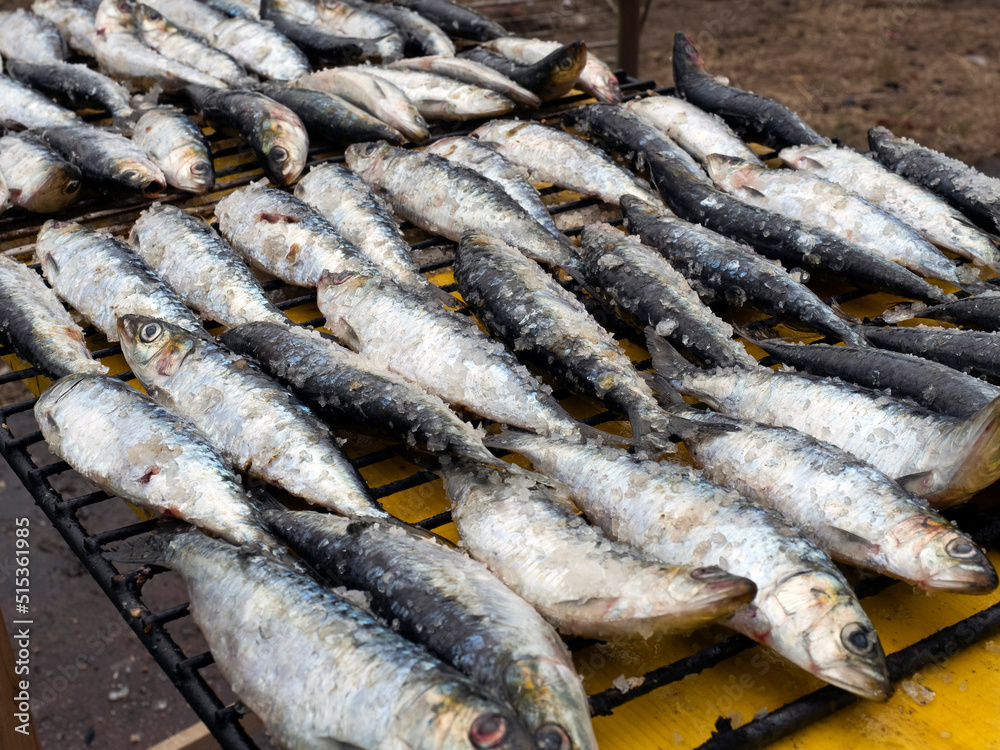 sardines before grilling in a traditional festival