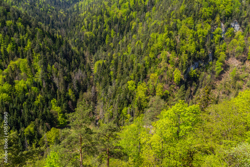 Tomasovsky Vyhlad, Slovakia photo