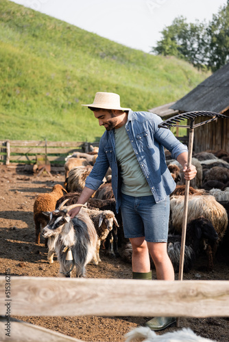 happy farmer with rakes stroking horned goat in corral on cattle farm.