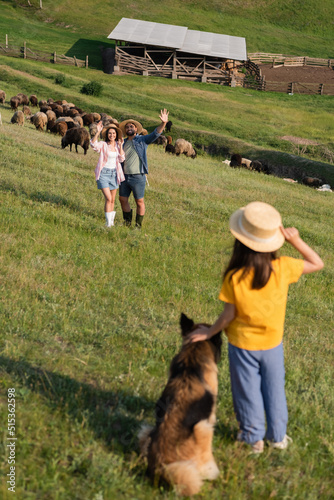 happy farmers waving hands to daughter with dog while herding cattle in pasture. © LIGHTFIELD STUDIOS