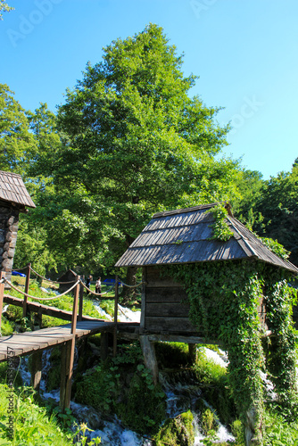 wooden house in the forest