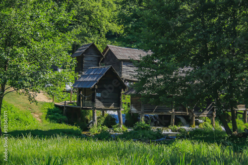 wooden house in the forest