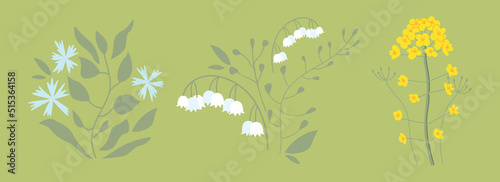 Collection hand drawn flowers.  Lily of the valley, canola, cornflower on an isolated background. Vector flat illustration of summer flower.