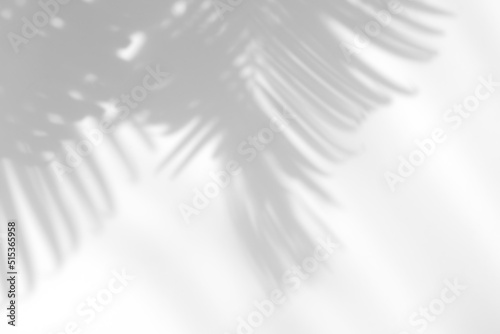 Abstract leaves natural shadow overlay on white texture background, for overlay on product presentation, backdrop and mockup