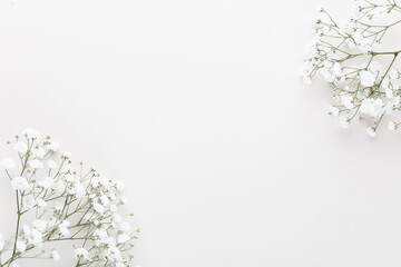 Beautiful flower background of pink gypsophila flowers. Flat lay, top view. Floral pattern.