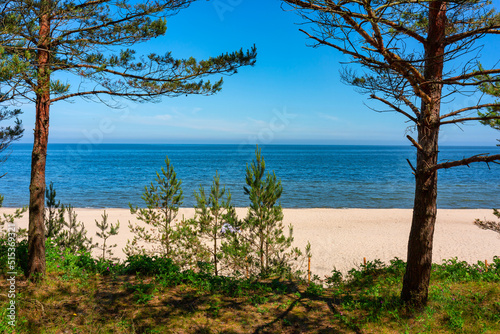 Landscape of the summer beach of the Baltic Sea in Sztutowo  Poland