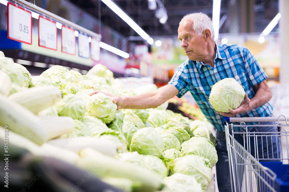 Fototapeta premium old age man choosing cabbage in supermarket