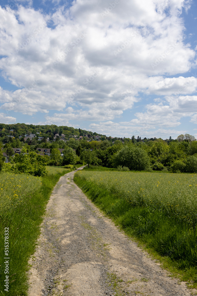 Weg durch ein Feld