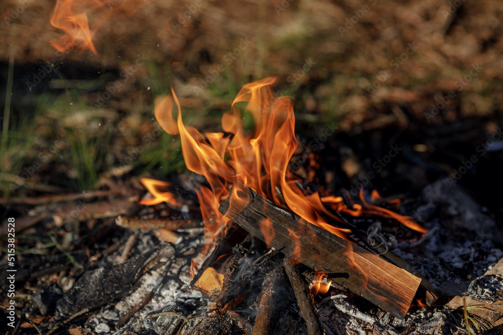 Close up of burning timber bonfire in summer forest..The concept of adventure, travel, tourism, camping, survival and evacuation. Close up of burning timber bonfire in summer forest..The concept of adventure, travel, tourism, camping, survival and evacuation.
