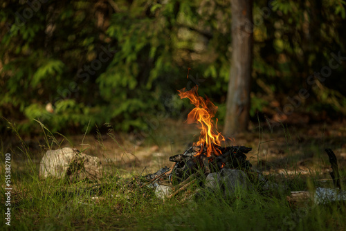 Close up of burning timber bonfire in summer forest..The concept of adventure, travel, tourism, camping, survival and evacuation. © Jevgenija Zukova