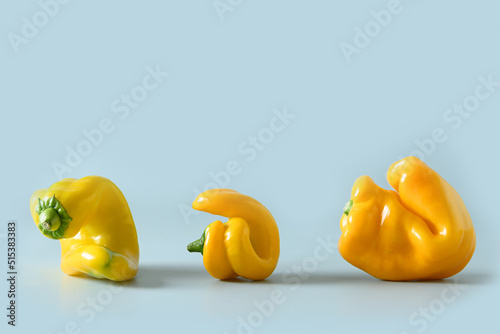 Abnormal ugly three organic yellow peppers on blue. Banner. Eco organic concept. Close up.
