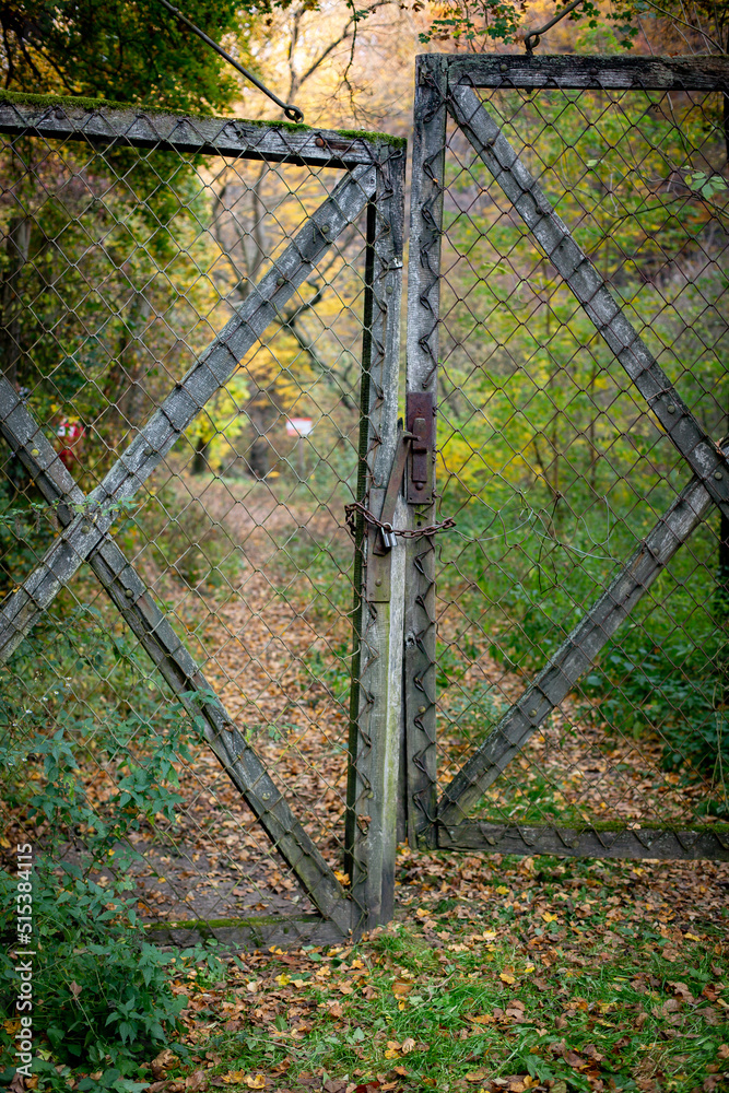 Fototapeta premium old rusty gate