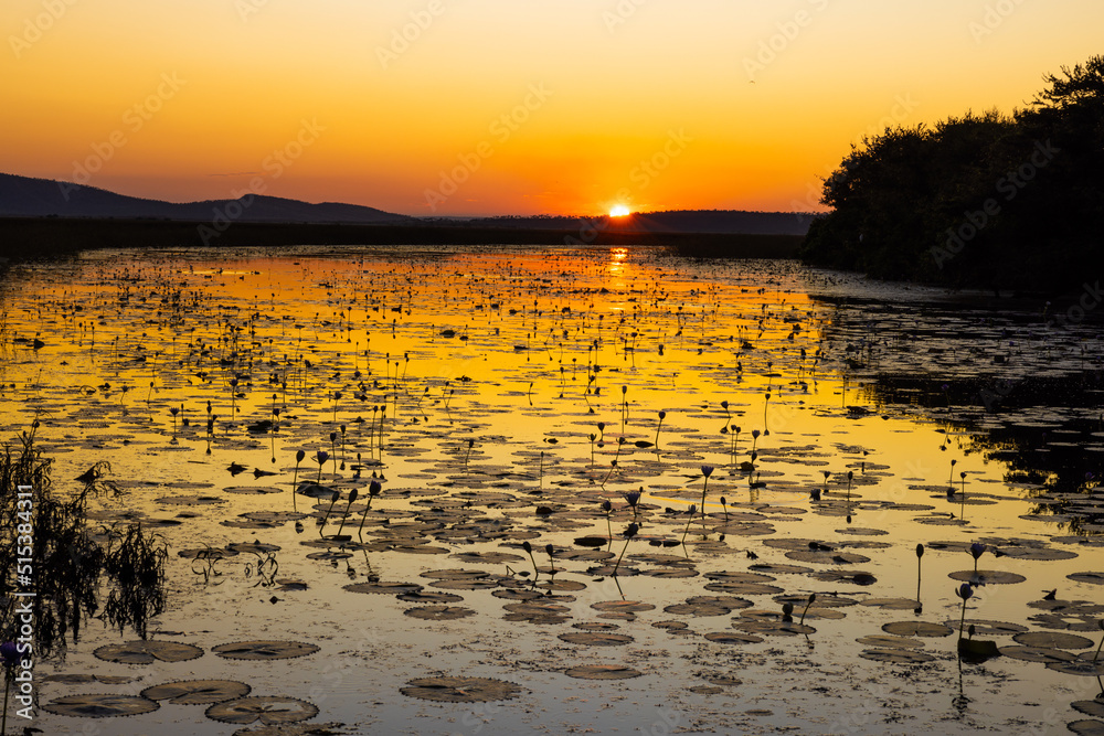 Beautiful sunset at Marlgu Billabong in the Kimberley Region of  Western Australia