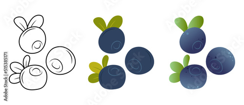 Blueberry. Doodle blueberry illustration. Blueberry vector illustration