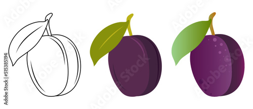 Plum. Doodle illustration of a plum. Plum vector illustration