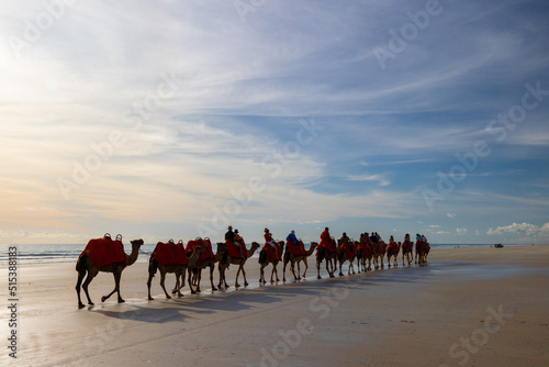 Valokuvatapetti Camel ride at sunset in Broome, Western Australia