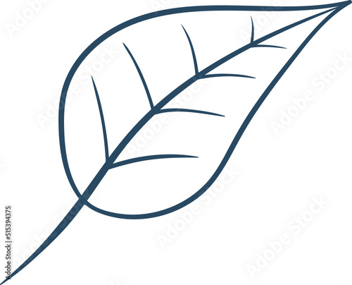 Autumn leaf clipart design illustration