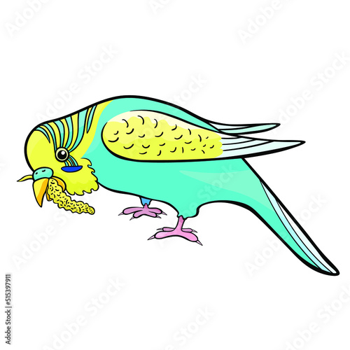 wavy parrot eats a branch of Senegalese millet vector illustration