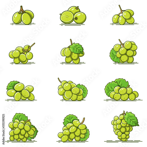 Collection of Green Grapes fruit- vector icons