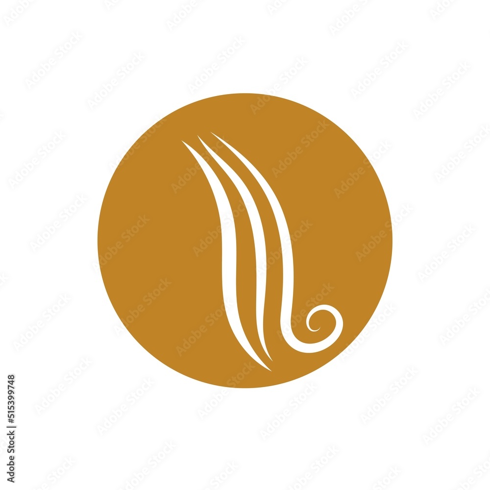 Fototapeta premium hair wave logo vector illustration design