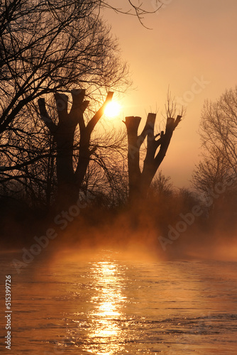 Silhouette im Sonnenaufgang mit Nebel im Winter