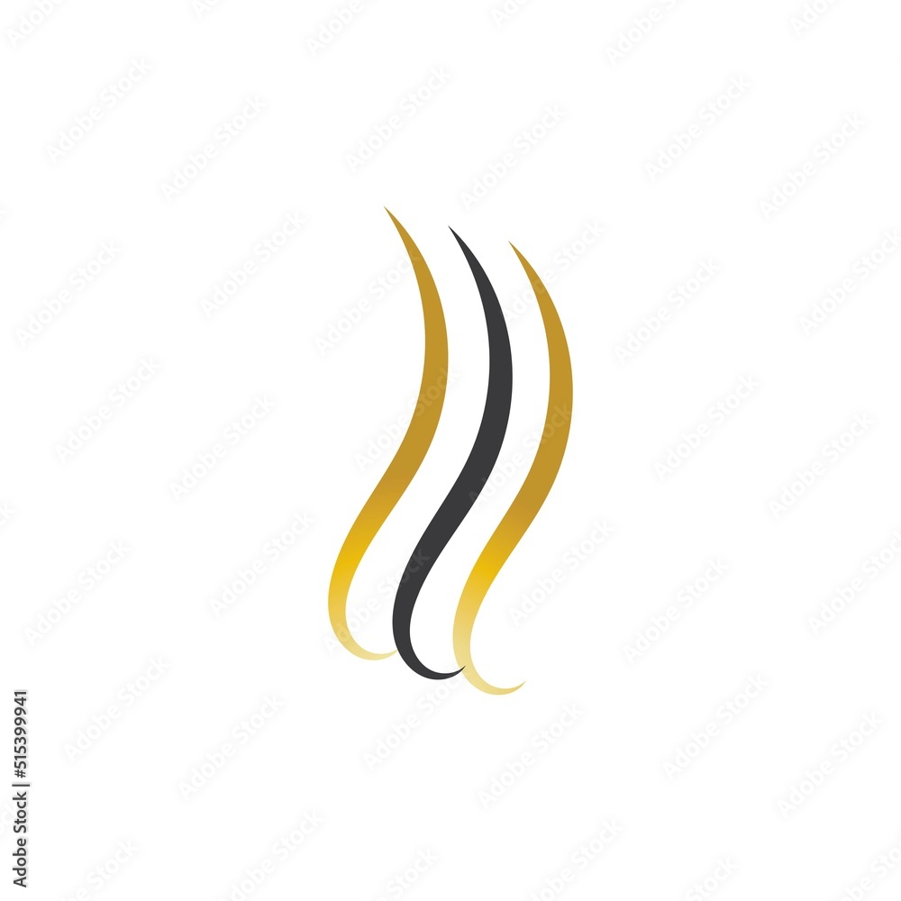 hair wave logo vector illustration design