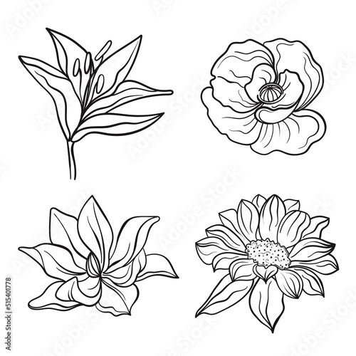 Vector line black illustration graphics flowers set: lily, poppy, magnolia, sunflower with colors stains.