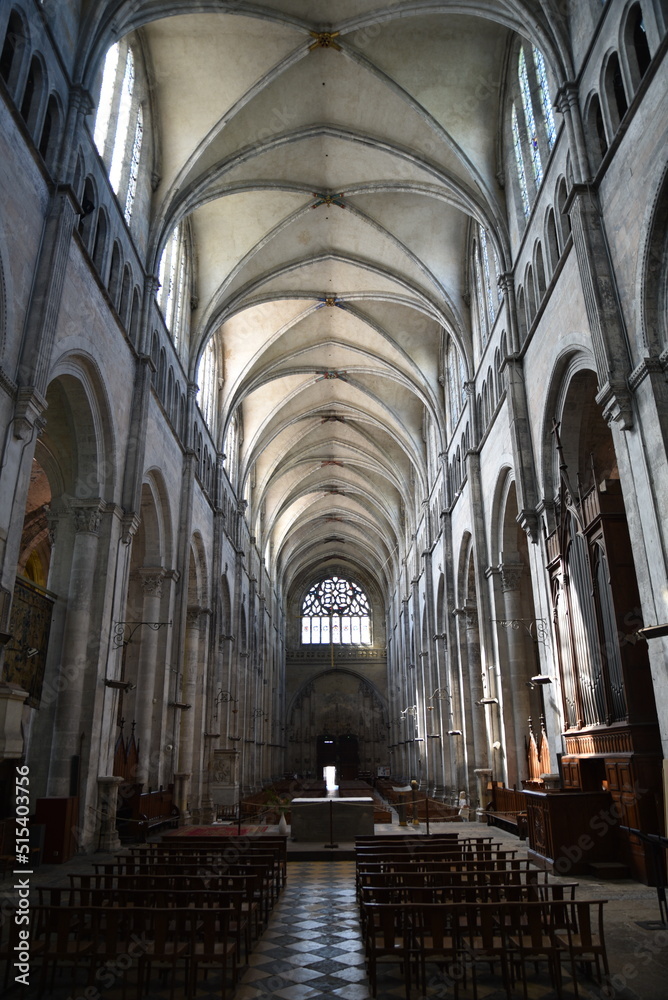 Nef gothique de la cathédrale de Vienne. France