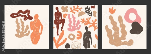 A set of posters, an abstract female silhouette in a pose and plants. Inspired by Henri Matisse. Flat vector illustration, hand drawn cartoon. photo