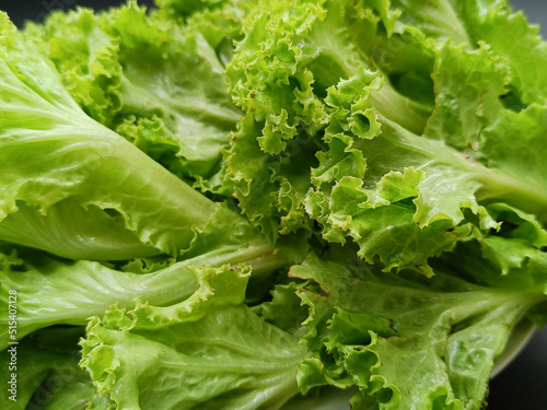Lettuce. Healthy vegetables. Close up view. selected focus