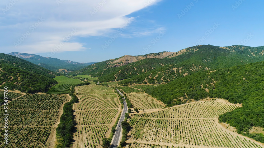 Aerial view of beautiful farming fields with growing plants on blue cloudy sky background. Shot. Flying above the green forested mountains near the road and fields.