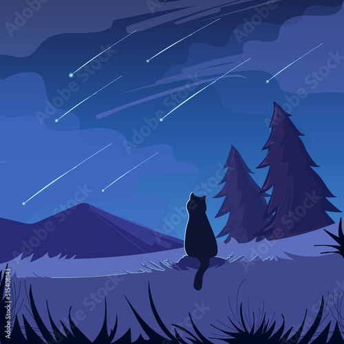 Meteor Rain. Meteorite Shower and cute cat. Vector Illustration